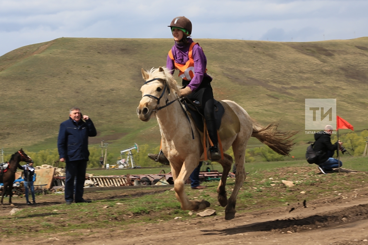  В Лениногорском районе конные скачки "Байга"